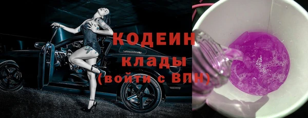 индика Володарск