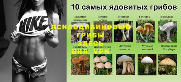 a pvp Верея