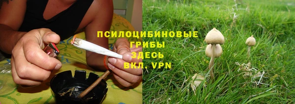 a pvp Верея
