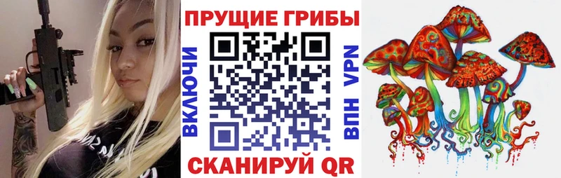 Галлюциногенные грибы MAGIC MUSHROOMS  Купить закладки  Чайковский 
